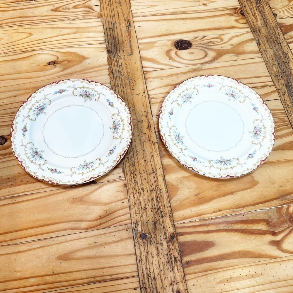 Noritake Set of 2 Larger Plates Porcelain China / Japan Set of 2